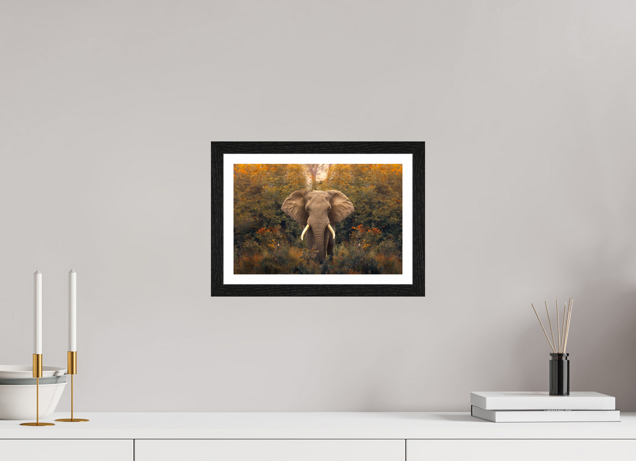 12 x 8″, S+M Black Frame + border REVELATION