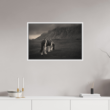 30 x 20″, L+XL White Floater Frame Unbothered
