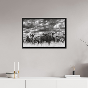 30 x 20″, M L black Floater Distributed Self