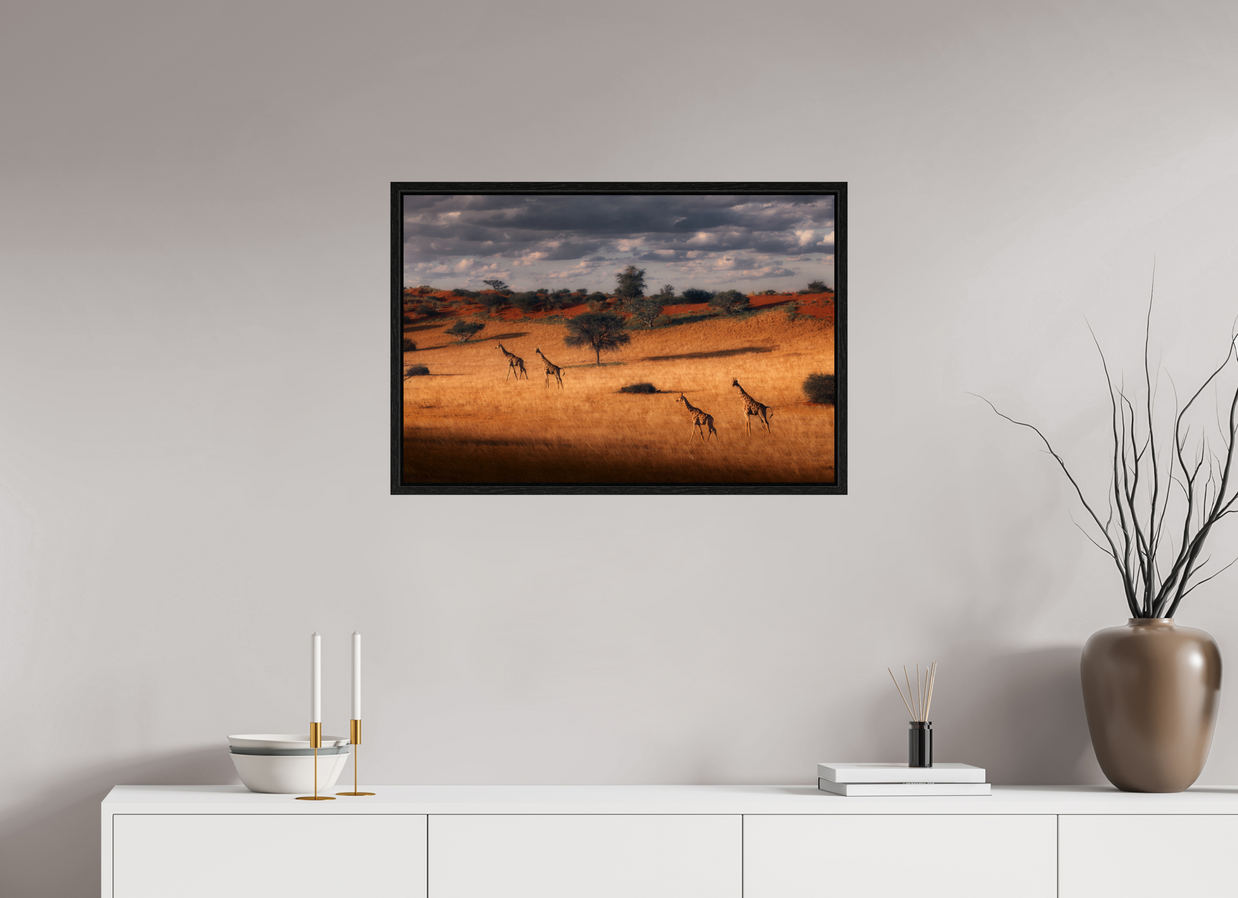 30 x 20″, L+XL Black Floater Frame Symphony of Silence