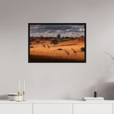 30 x 20″, L+XL Black Floater Frame Symphony of Silence