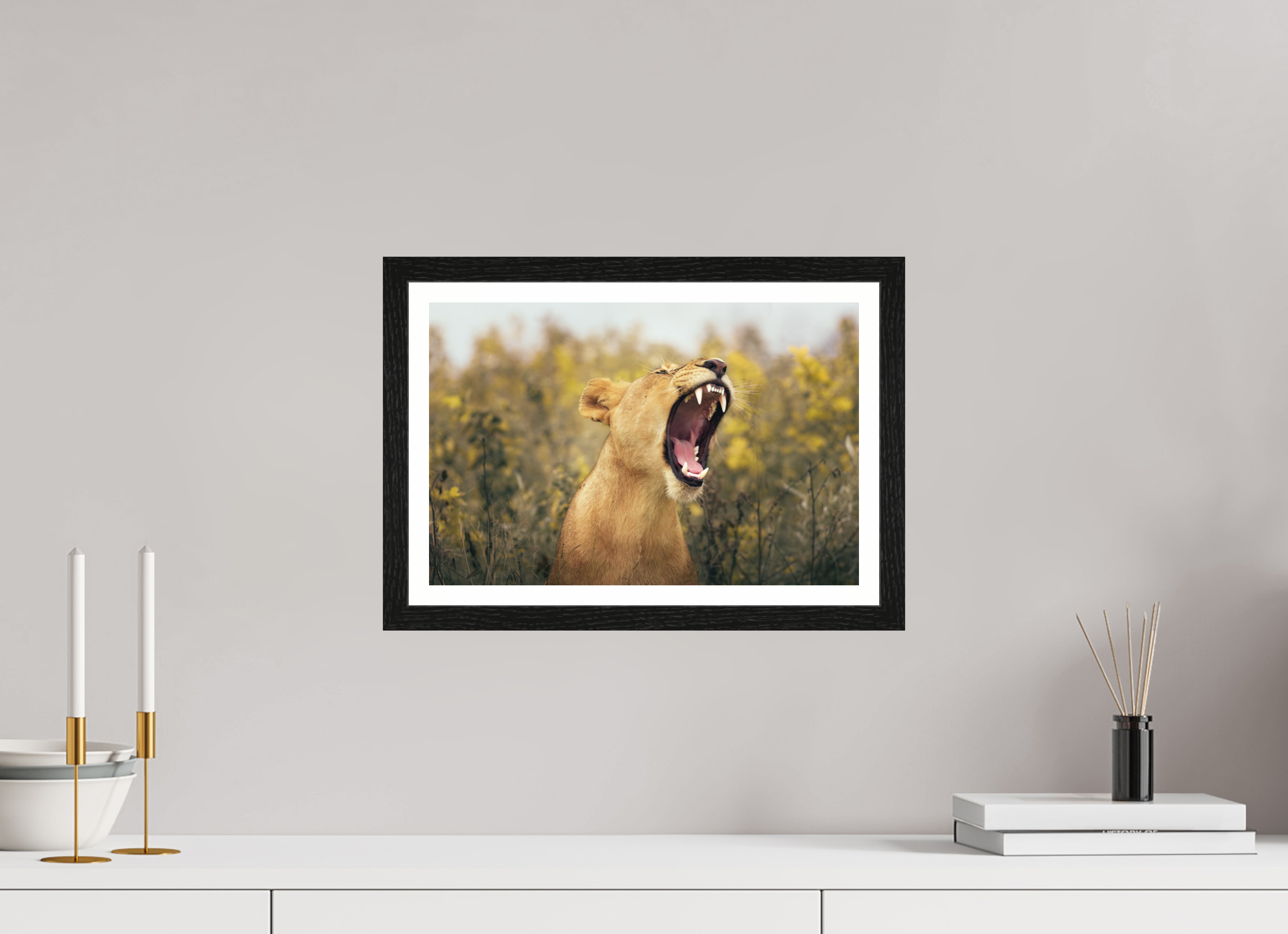 15 x 10″, S+M Black Frame + border UNCONTAINED