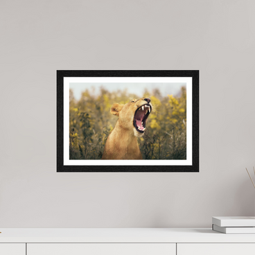 15 x 10″, S+M Black Frame + border UNCONTAINED