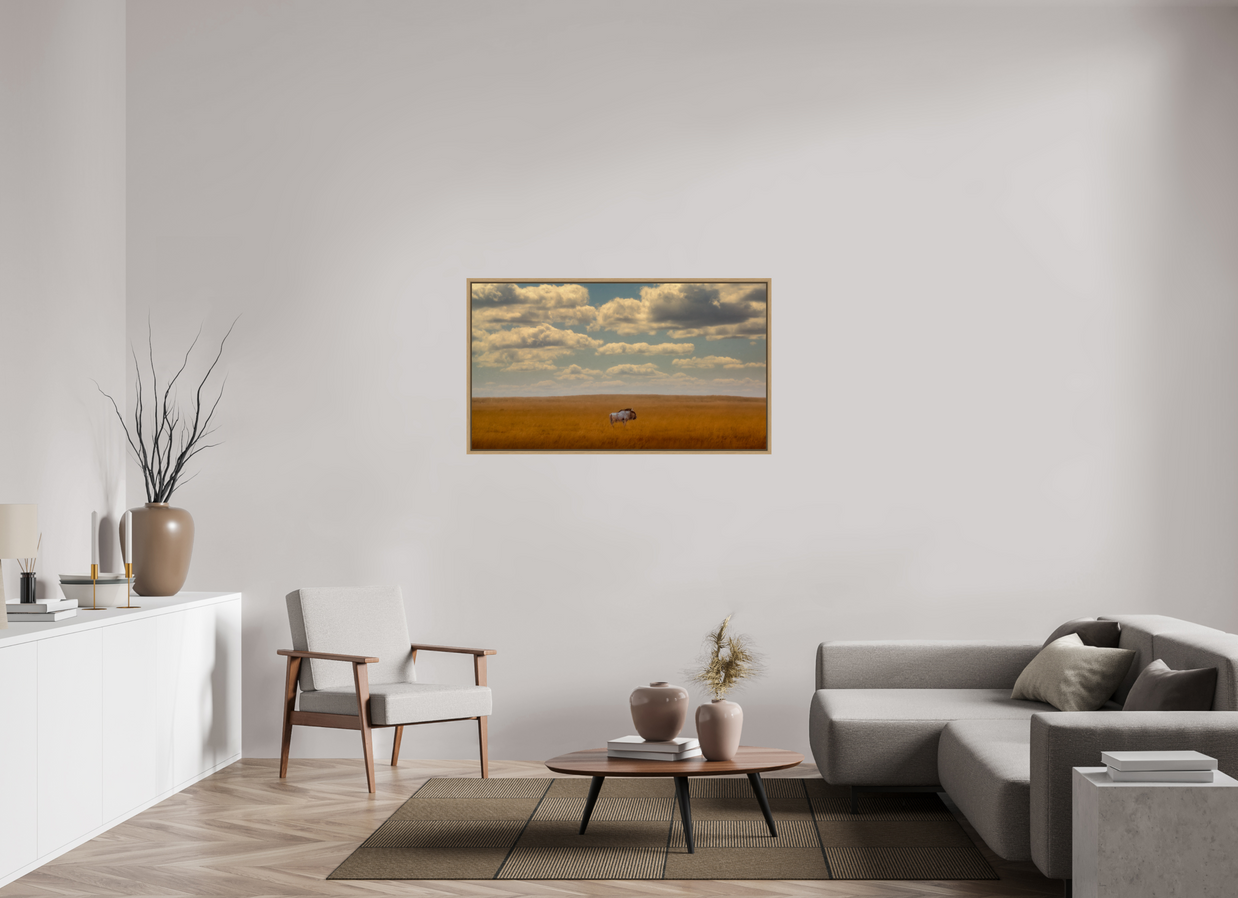 49 x 27.6″, M L Oak Floateer Freedom of Exposure