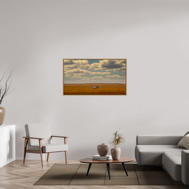 49 x 27.6″, M L Oak Floateer Freedom of Exposure