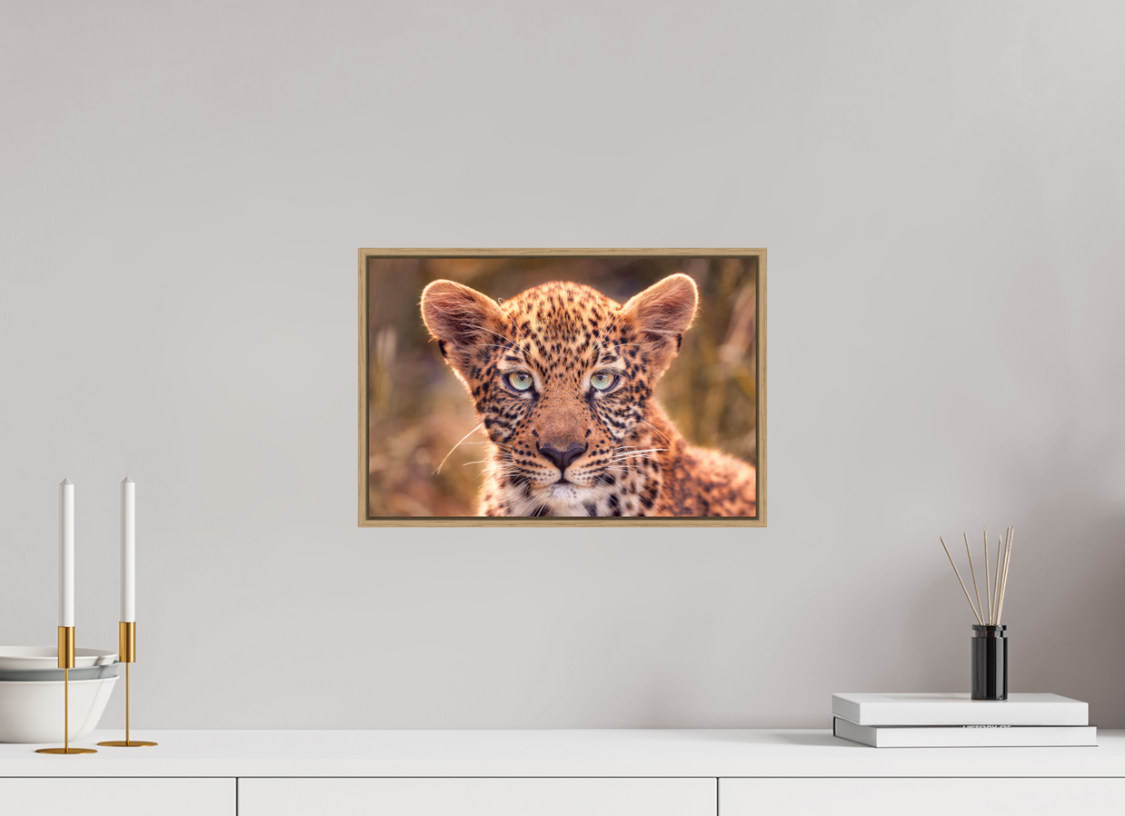 15 x 10″, S+M Oak Floater Frame SEEN
