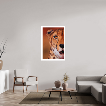 30 x 45″, XL + Exhibition Print AS IT IS