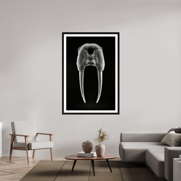 40 x 60″, Exhibition Black Frame + Border DENTAL PLAN