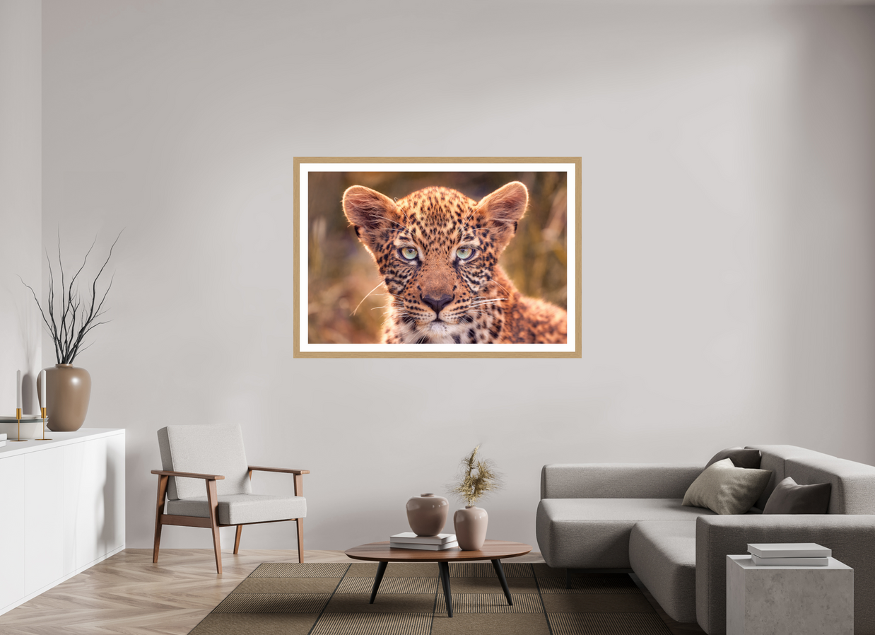 60 x 40″, Exhibition Oak Frame + Border SEEN