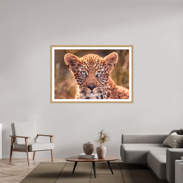 60 x 40″, Exhibition Oak Frame + Border SEEN