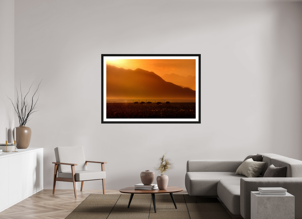 60 x 40″, Exhibition Black Frame + Border PROCESSION OF LIGHT
