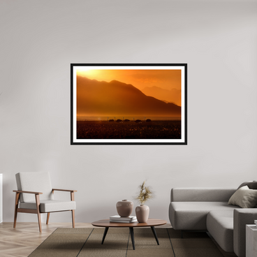 60 x 40″, Exhibition Black Frame + Border PROCESSION OF LIGHT