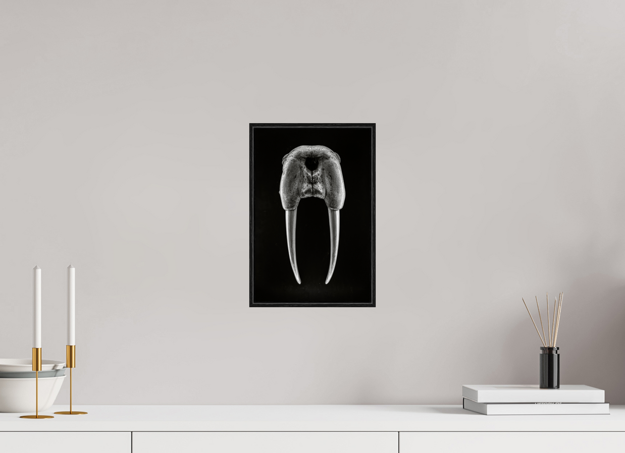 8 x 12″, S+M Black Floater Frame DENTAL PLAN