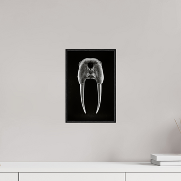 8 x 12″, S+M Black Floater Frame DENTAL PLAN