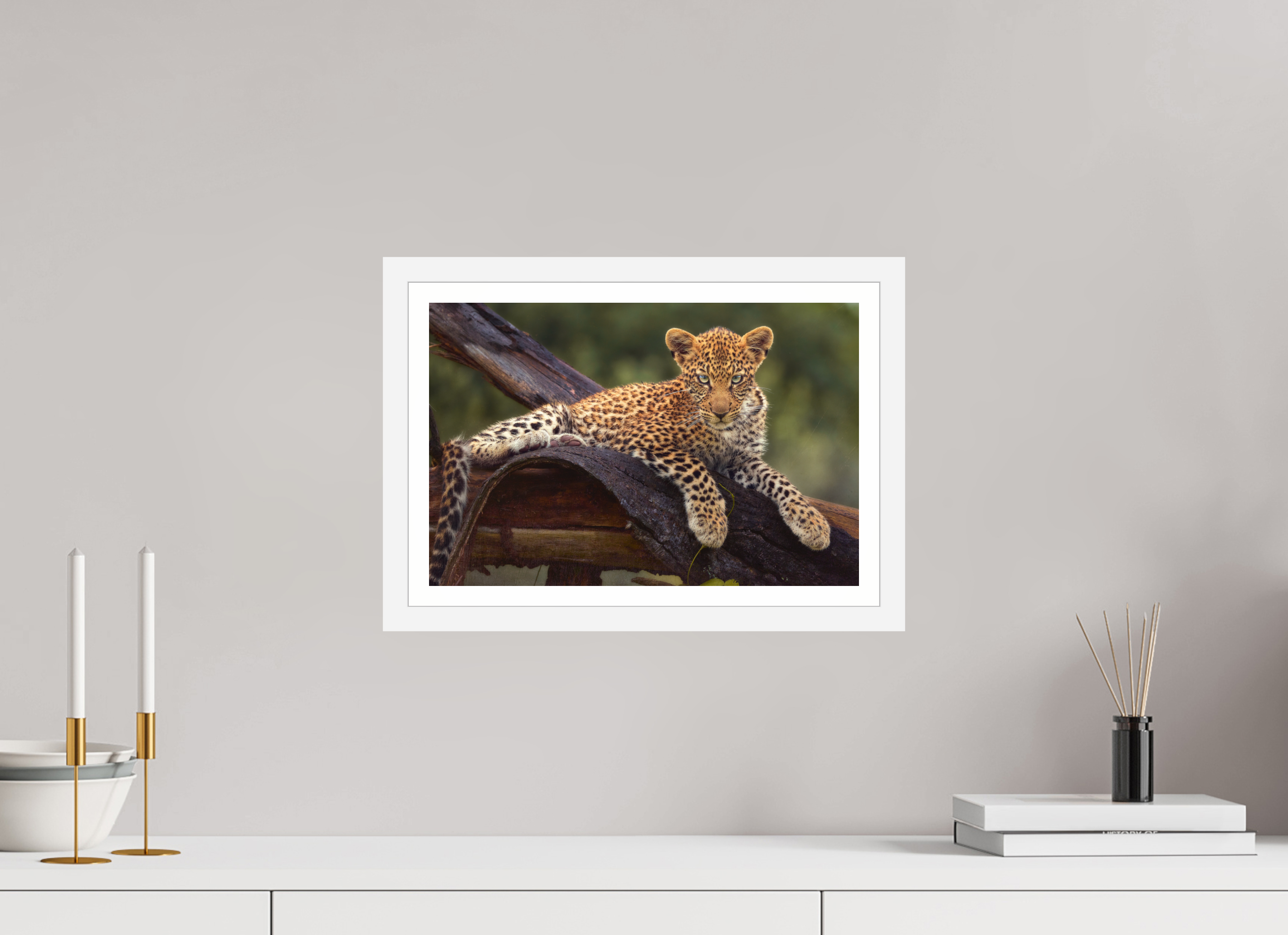 15 x 10″, S+M White Frame + Border BEFORE KNOWING