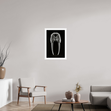 20 x 30″, L+XL White Frame + Border DENTAL PLAN