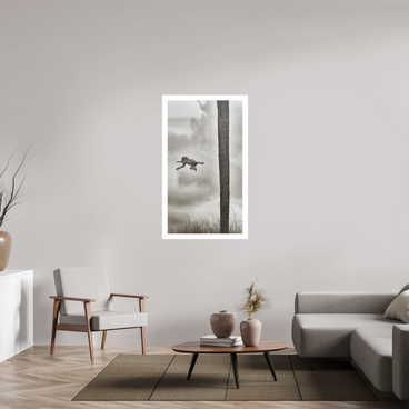 27.6 x 49″, XL + Exhibition Print Beyond The Branch