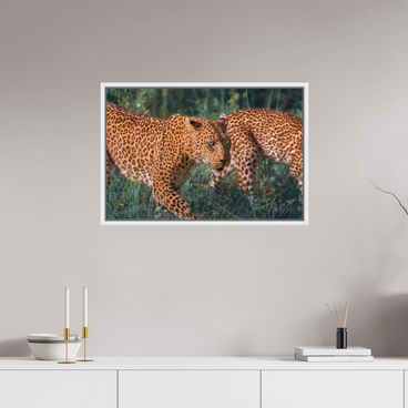 30 x 20″, L+XL White Floater Frame Untamed Opulence