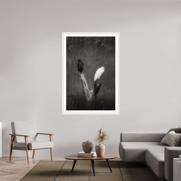 40 x 60″, Exhibition White Maple Frame + Border TWO TRUTHS