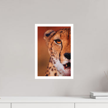 10 x 15″, M Print AS IT IS