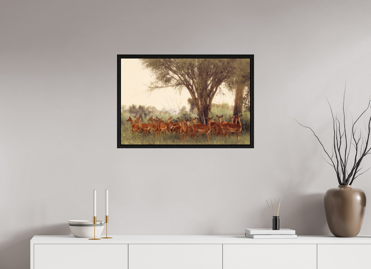 30 x 20″, L+XL Black Floater Frame The Field Feels