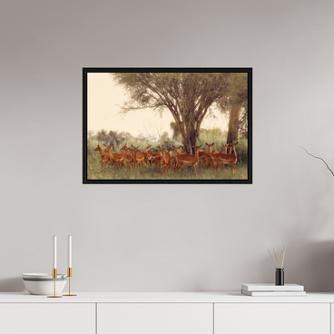 30 x 20″, L+XL Black Floater Frame The Field Feels