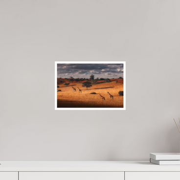 12 x 8″, S Print SYMPHONY OF SILENCE