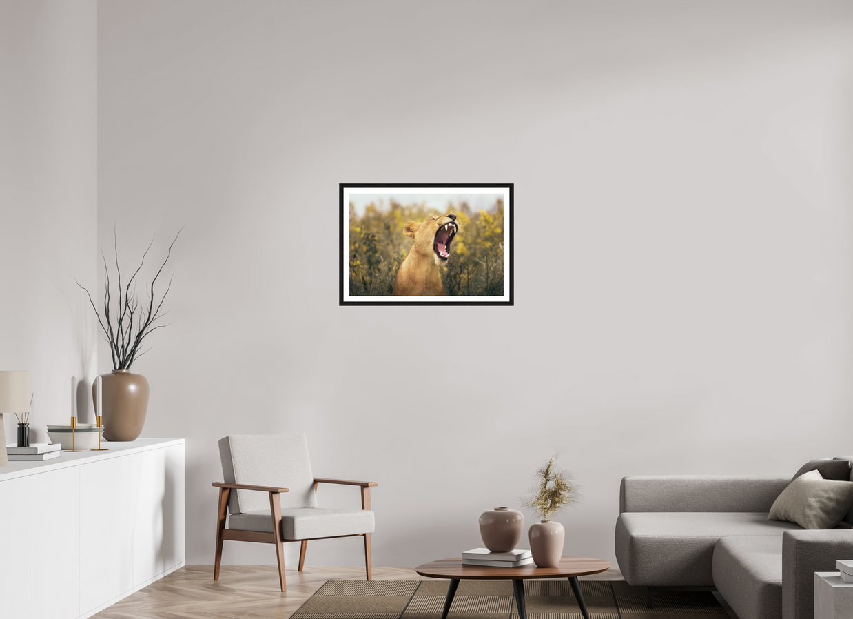 30 x 20″, L+XL Black Frame + Border UNCONTAINED