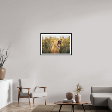 30 x 20″, L+XL Black Frame + Border UNCONTAINED