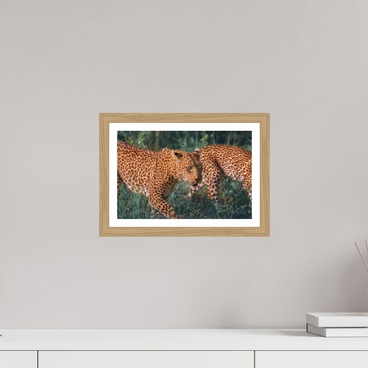 12 x 8″, S+M Oak Frame + Border UNTAMED OPULENCE
