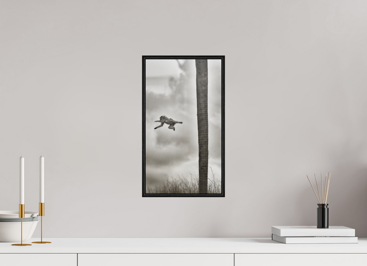 9 x 16″, S+M Black Floater Frame BEYOND THE BRANCH
