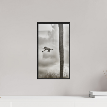 9 x 16″, S+M Black Floater Frame BEYOND THE BRANCH