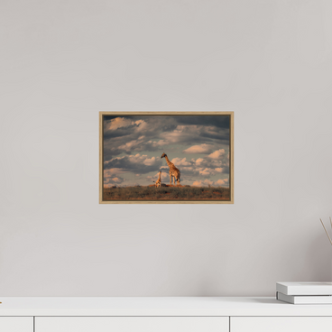 12 x 8″, S+M Oak Floater Frame Lineage