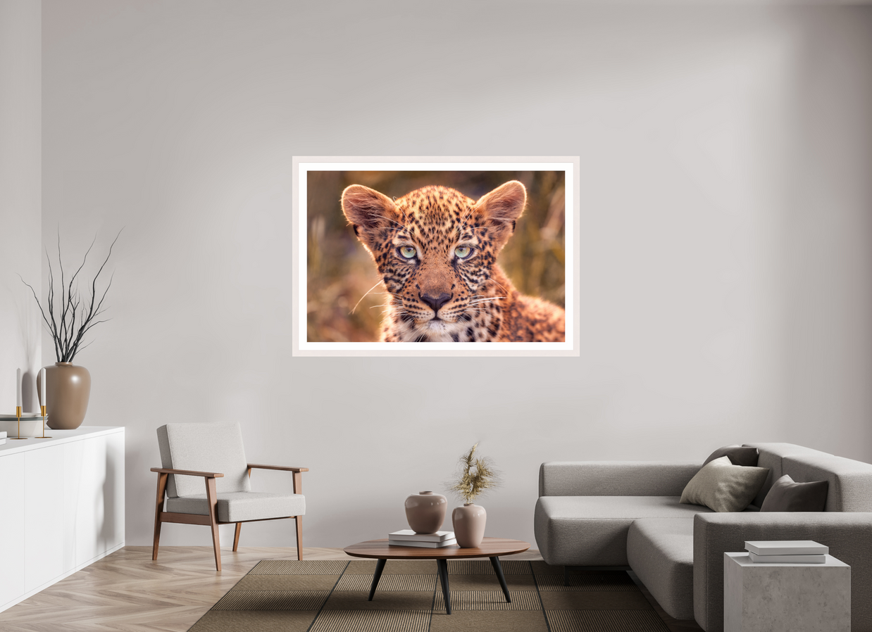 60 x 40″, Exhibition White Maple Frame + Border SEEN