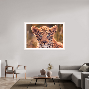 60 x 40″, Exhibition White Maple Frame + Border SEEN