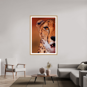 40 x 60″, Exhibition Oak Frame + Border AS IT IS