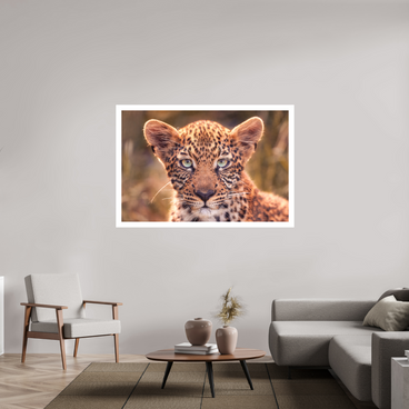 60 x 40″, XL + Exhibition Print SEEN