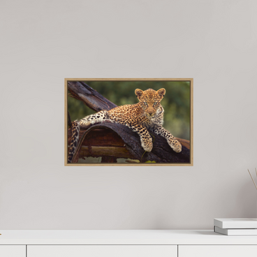 15 x 10″, S+M Oak Floater Frame Before Knowing