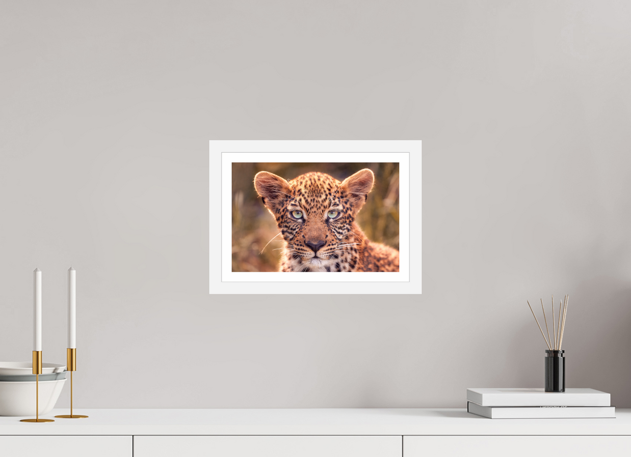 12 x 8″, S+M White Frame + Border SEEN
