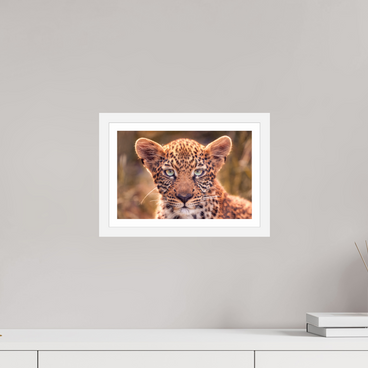 12 x 8″, S+M White Frame + Border SEEN