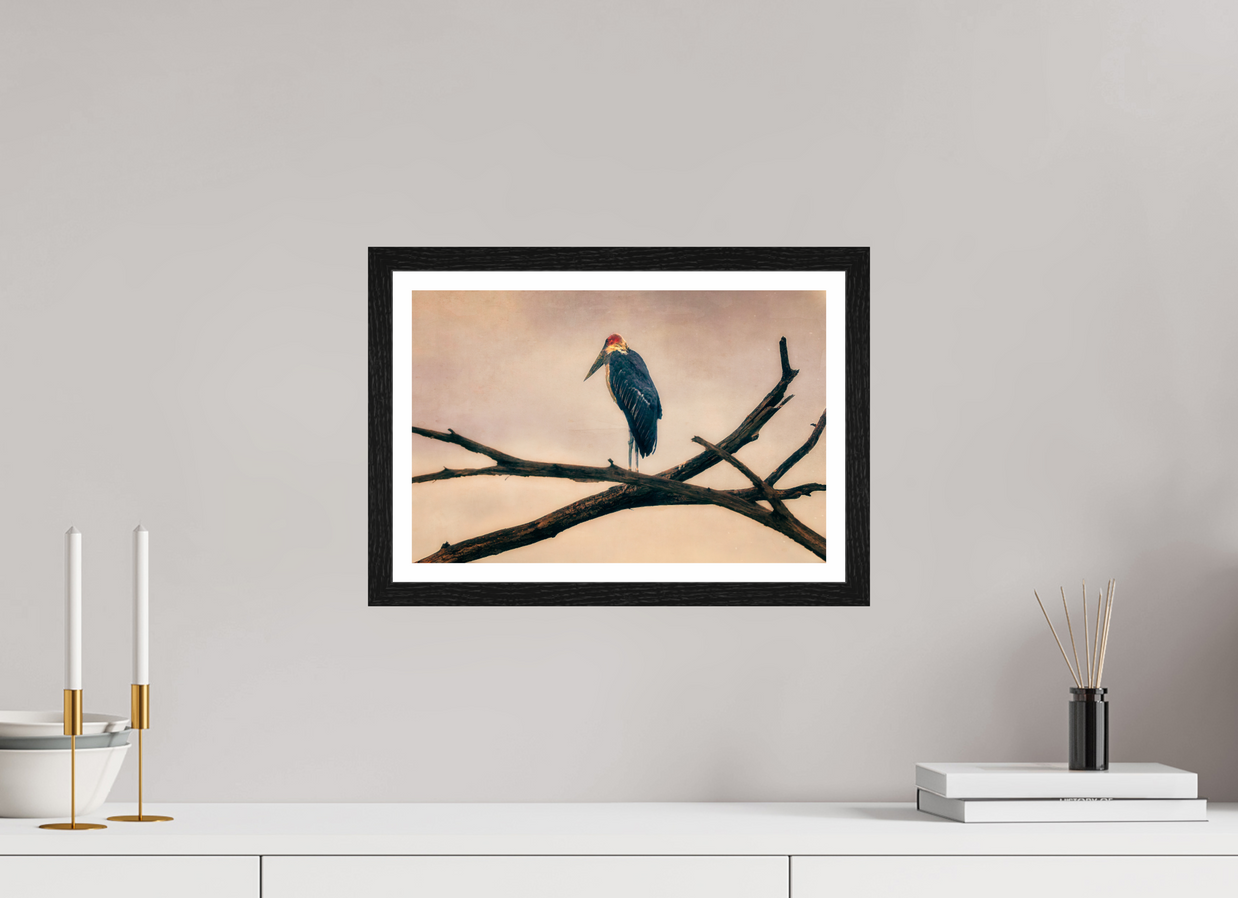15 x 10″, SML BLK BORDER FRAME The Last Witness