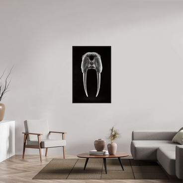 30 x 45″, L+XL Black Floater Frame DENTAL PLAN