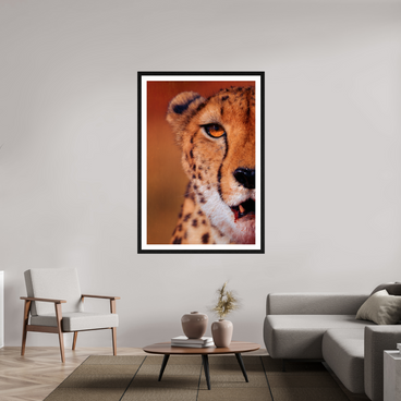 40 x 60″, Exhibition Black Frame + Border AS IT IS