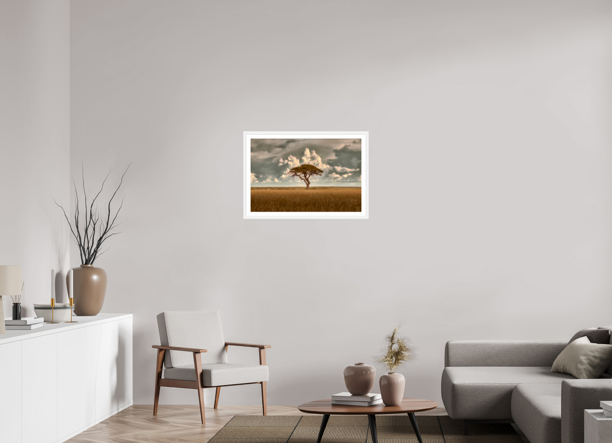 30 x 20″, L+XL White Frame + Border STRUCTURED CHAOS