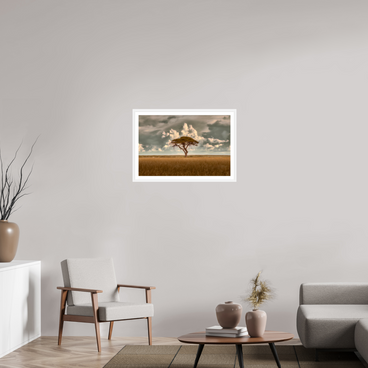 30 x 20″, L+XL White Frame + Border STRUCTURED CHAOS