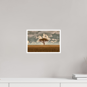 12 x 8″, S Print STRUCTURED CHAOS