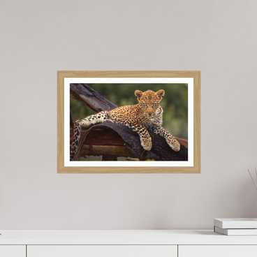 15 x 10″, S+M Oak Frame + Border BEFORE KNOWING