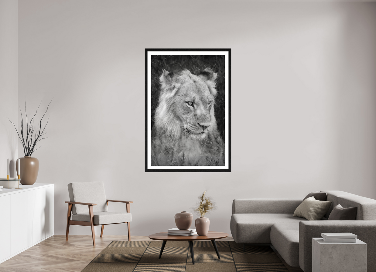 40 x 60″, Exhibition Black Frame + Border HEAVY WILL BE THE CROWN