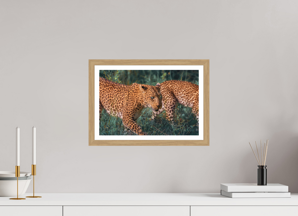 15 x 10″, S+M Oak Frame + Border UNTAMED OPULENCE