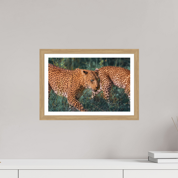 15 x 10″, S+M Oak Frame + Border UNTAMED OPULENCE